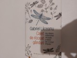 Caiet de ricosat ganduri Liiceanu