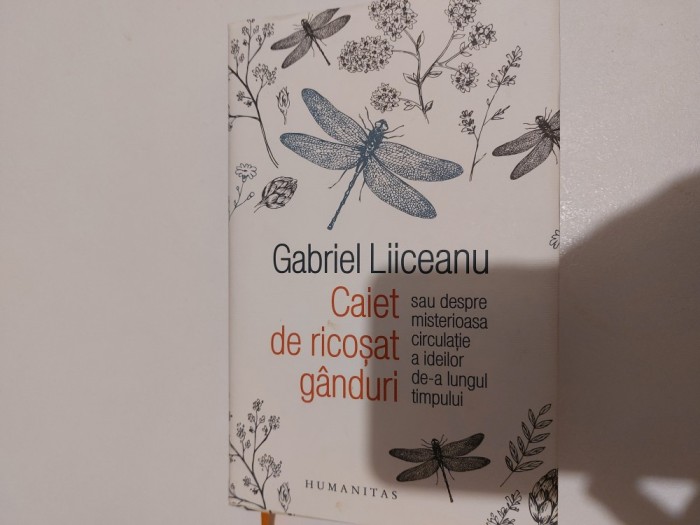 Caiet de ricosat ganduri Liiceanu
