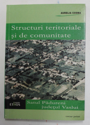 STRUCTURI TERITORIALE SI DE COMUNITATE , SATUL PADURENI , JUDETUL VASLUI de AURELIA COSMA , 2001 foto