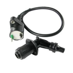 Bobina Inductie Scuter 4T GY6 2 Papuci