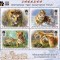 COREEA DE NORD 2022 FAUNA ANIMALE SALBATICE TIGRI