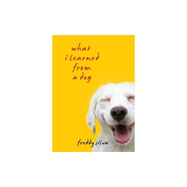 What I Learned From A Dog