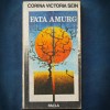 Fata Amurg - Corina Victoria Sein - Roman - Beletristica