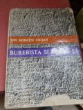 Ion Horatiu Crisan - Burebista si epoca sa