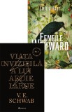 Pachet Lumina si intuneric, Bookzone