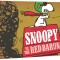 Snoopy vs. the Red Baron