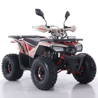Atv Asix Hunter 125cc, roti 8 inch, 1+1 viteze, culoare rosu/nisipiu Cod Produs: MX_NEW A6-HUN12584-4 foto