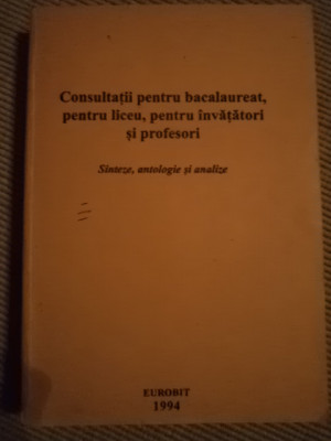 consultatii pentru bacalaureat pt. liceu pentru invatatori si profesori analize foto