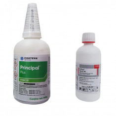 Erbicid porumb Principal plus 440 g + Adjuvant Trend 90 250 ml