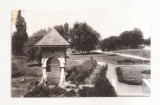 RF102 - Carte Postala - Craiova. Fantana Jianu din gradina botanica, circulata 1969