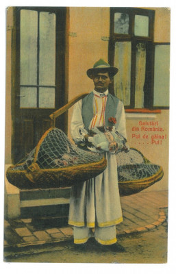 5038 - Ethnic, CHICKEN SELLER, Romania - old postcard - unused foto