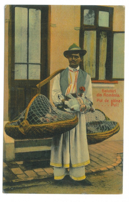 5038 - Ethnic, CHICKEN SELLER, Romania - old postcard - unused
