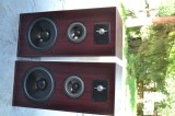 Boxe JBL TLX 500
