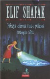 AS - ELIF SHAFAK - FETIȚA CĂREIA NU-I PLĂCEA NUMELE SĂU