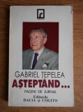 Gabriel Tepelea - Asteptand...(1997)