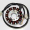 Stator Power Force AM6, 12 bobine Cod Produs: MX_NEW PF 24 635 0002ML