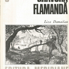 Gravura flamanda (vol. 8, seria Cabinetul de stampe) - Liza Damadian