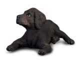 Labrador Retriever Pui S Collecta