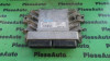 Calculator motor Dacia Logan (2004-2012) [LS_] 8200369625, Array