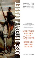 Meditatii despre Don Quijote - Humanitas