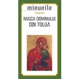Minunile icoanei Maica Domnului din Tolga - Sophia