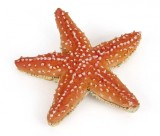 Papo Figurina Stea De Mare, Universul Acvatic
