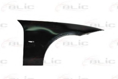 Aripa fata BMW Seria 3 Touring (E91) (2005 - 2012) BLIC 6504-04-0062312P foto