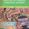 EGIPTUL PE VREMEA DINASTIEI RAMSES-PIERRE MONTET-258881