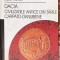 DACIA,VASILE PARVAN(CIVILIZATIILE ANTICE DIN TARILE CAPATO-DANUBIENE)295pagini/v