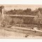 CA12 -Carte Postala- Craiova, Vedere din parc, circulata 1957