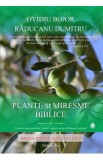 Plante si miresme biblice Ed.2 - Ovidiu Bojor, Raducanu Dumitru