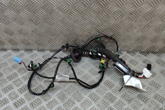 Cablaj ușă dreapta față VW PASSAT Variant B8 3G5 2021 OEM: 3G1971121DH 25241541