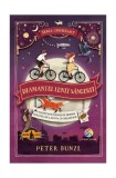 Diamantul lunii s&acirc;ngerii (Vol. 2) - Hardcover - Peter Bunzl - Corint Junior