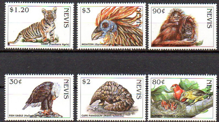 NEVIS 1998, Fauna, serie neuzata, MNH