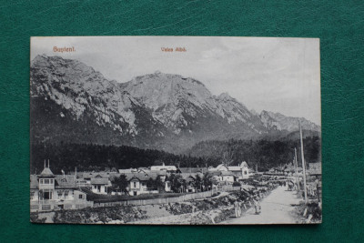 20ADE - Vedere - Carte postala - Busteni Valea Alba foto