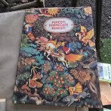 POVESTI FERMECATE RUSESTI , ILUSTRATII DE N. KOCERGHIN ,