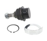 Pivot brat suspensie Ford Tourneo Connect, Tourneo Custom V362 Bus, Transit Box, Transit Bus (Fd, Transit Bus(Fd, Transit Connect (P65, Transit