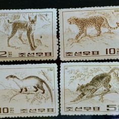 Korea de Nord 1964 fauna,animale sălbatice, leopard nestampilat