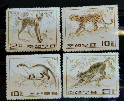 Korea de Nord 1964 fauna,animale sălbatice, leopard nestampilat foto
