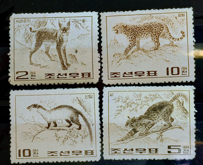 Korea de Nord 1964 fauna,animale sălbatice, leopard nestampilat