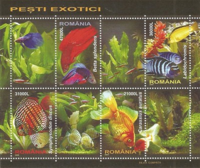 |Romania, LP 1676c/2005, Pesti exotici, bloc de 4 timbre, MNH foto