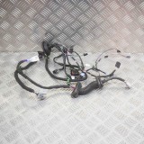 Cablaj Usa Stanga Spate Tesla Model S 2018 OEM 1004425-00-V