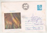bnk ip Intreg postal 1978 - Jud Mehedinti - Baia de Arama - Pestera Bulba - cod 0202/78