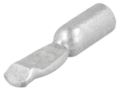 Pin Cupru Argintat Crimpat 12AWG-10AWG 75A foto