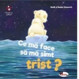 Ce ma face sa ma simt trist? - Aurelia Ulici, Daniel Howarth, Heidi Howarth