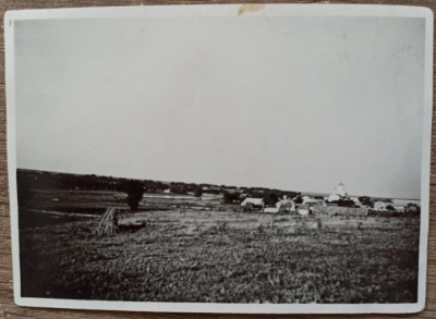 Manastirea Cocos, vazuta de la marginea localitatii Niculitel, anii &amp;#039;30/ foto foto