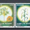 Mexic 1982 MNH - Flora mexicana, nestampilat