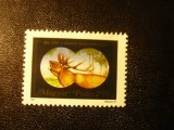 Serie 1 valoare Ungaria 1981 - Fauna - Emblema Cerb
