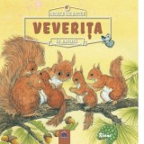 Animale salbatice in natura: Veverita