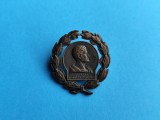 Insigna veche-Suedia-Oferta!